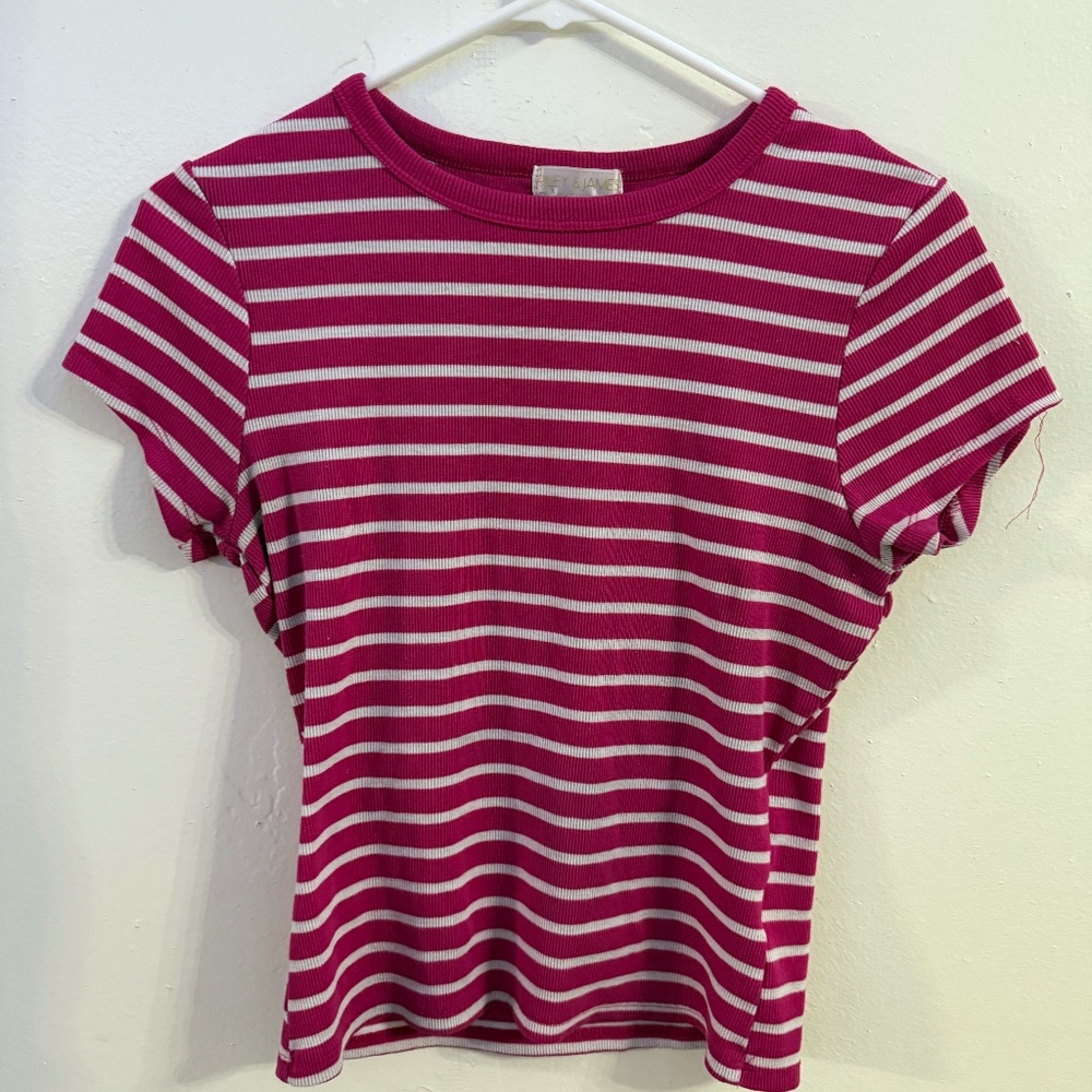 Womens Riley & James Pink Short Sleeve Striped Shirt Large